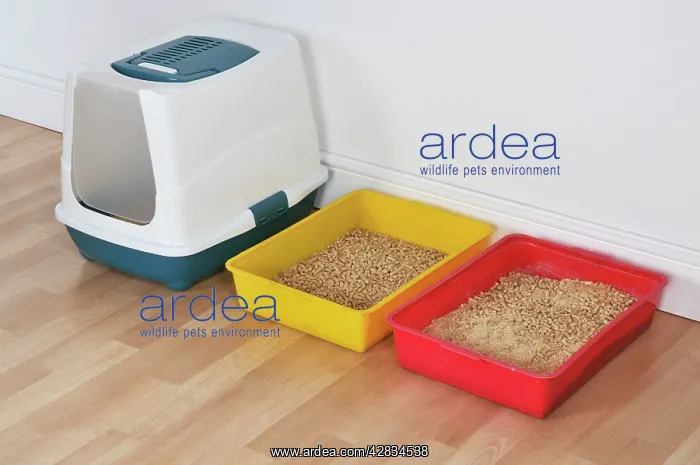  : Cat - three litter trays in a row