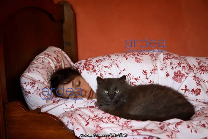  : Cat lying on a bed and a sleeping young