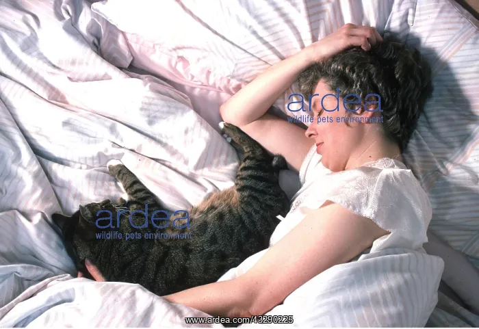 : CAT - and owner asleep together in bed : CAT - and owner asleep together in bed