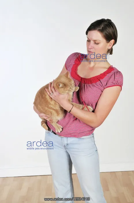  : Cat with owner - cat reluctant to be handled