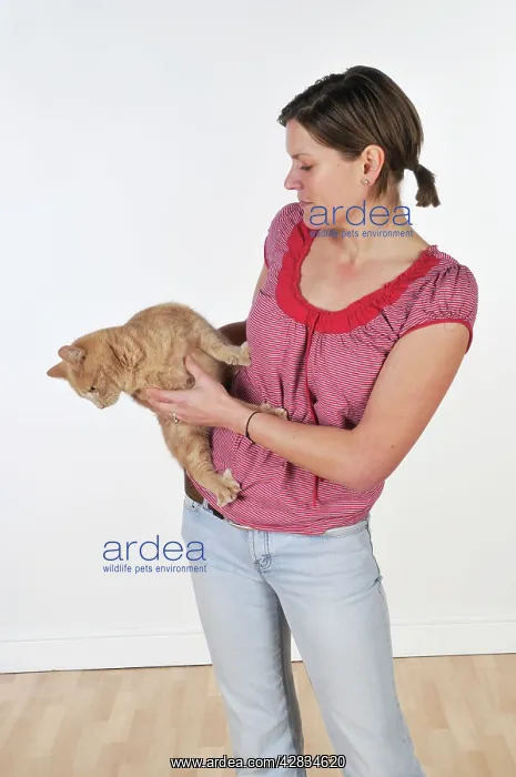  : Cat with owner - cat reluctant to be handled