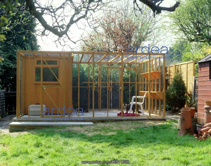  : Cat Run - cattery