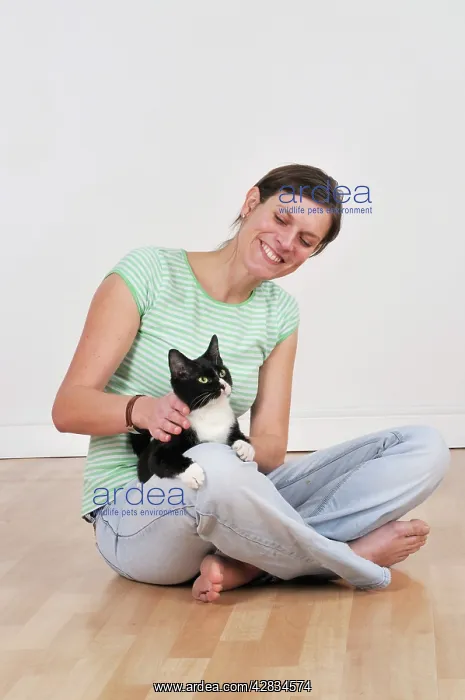  : Cat - sitting on owners lap being stroked