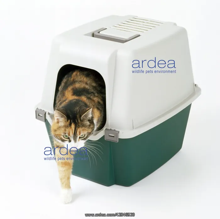  : CAT - using covered litter tray