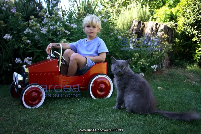 : Cat and young Boy sat on his car in a garden : Cat and young Boy sat on his car in a garden