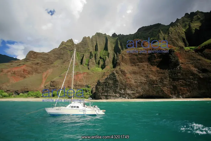 : Catamaran sailing boat in front of the steep cliffs : Catamaran sailing boat in front of the steep cliffs