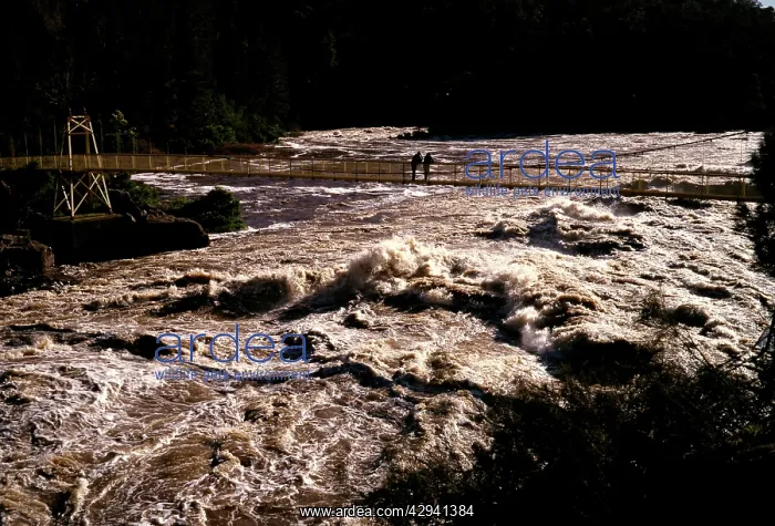 : Cataract Gorge in flood and tourists on the Suspension : Cataract Gorge in flood and tourists on the Suspension