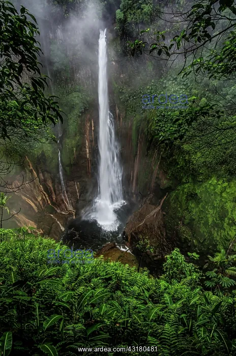 : Catarata Del Toro Waterfall : Catarata Del Toro Waterfall