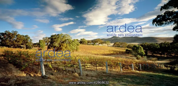 : Cathcart Ridge Winery Ararat : Cathcart Ridge Winery Ararat