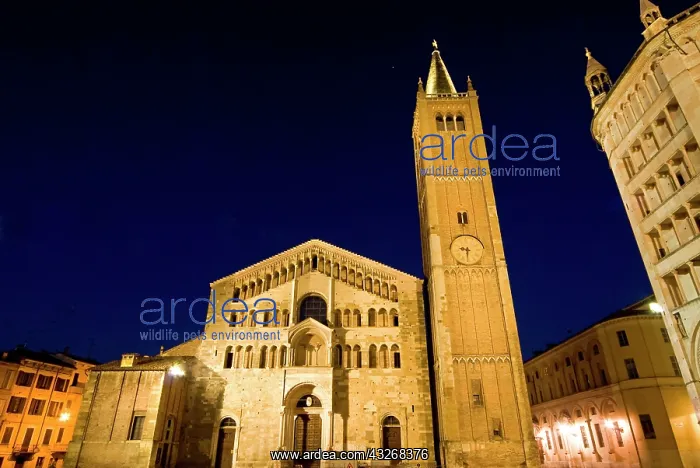 : The cathedral and the baptistery, Parma : The cathedral and the baptistery, Parma
