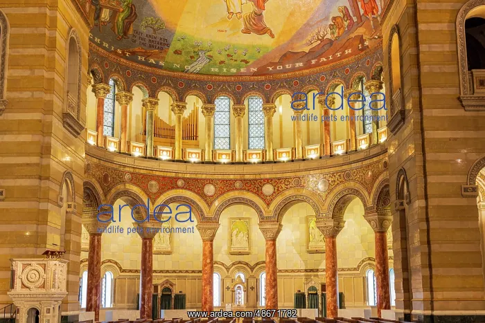 : The Cathedral Basilica of St. Louis, Missouri. (Editorial : The Cathedral Basilica of St. Louis, Missouri. (Editorial