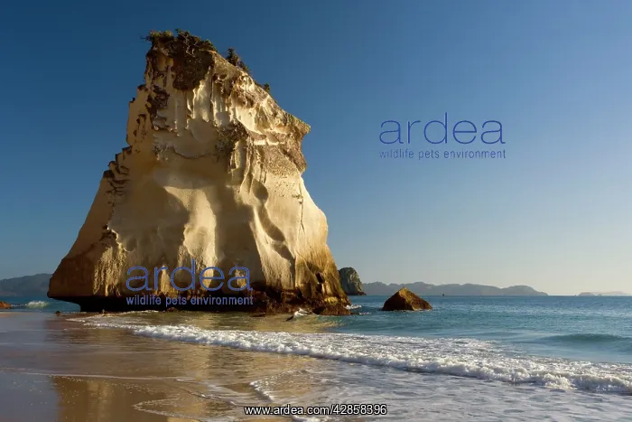  : Cathedral Cove - artfully sculpted rock formation