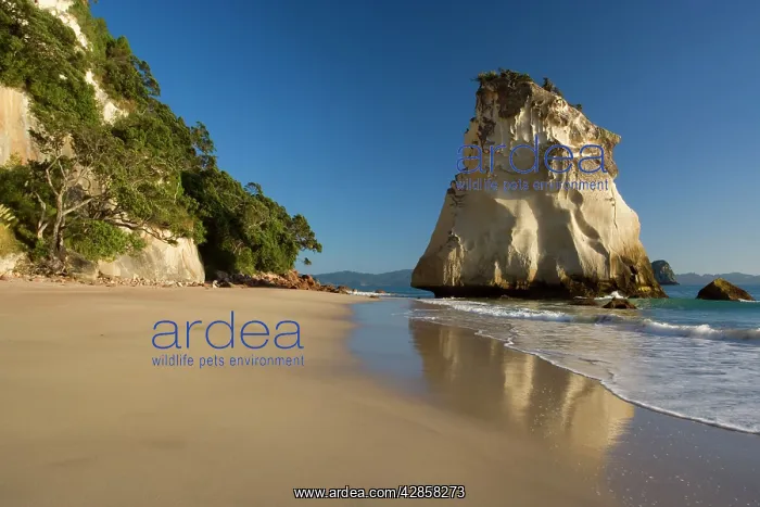 : Cathedral Cove - cliffs and artfully sculpted rock : Cathedral Cove - cliffs and artfully sculpted rock