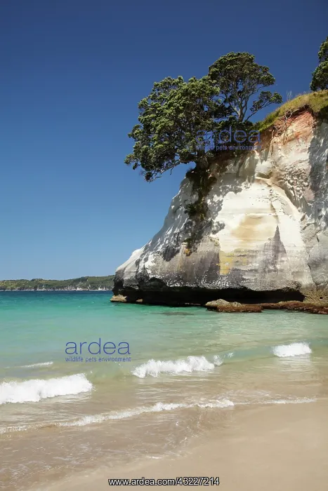 : Cathedral Cove, Coromandel Peninsula, North : Cathedral Cove, Coromandel Peninsula, North