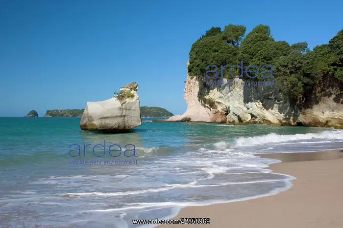 : Cathedral Cove - by erosion artfully sculpted rock : Cathedral Cove - by erosion artfully sculpted rock