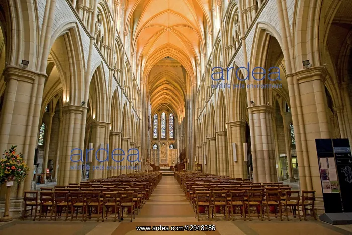 : Cathedral - Interior - Truro Cornwall UK : Cathedral - Interior - Truro Cornwall UK