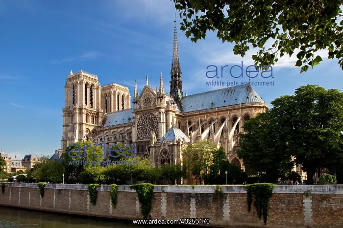 : Cathedral Notre Dame on the banks of River : Cathedral Notre Dame on the banks of River