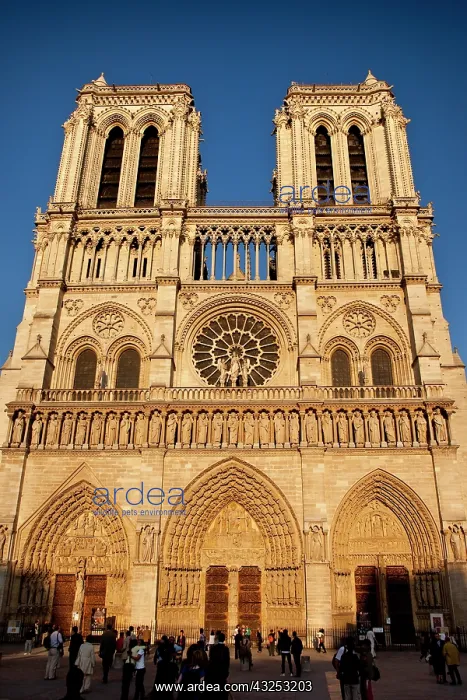 : Cathedral Notre Dame bathed in setting sunlight : Cathedral Notre Dame bathed in setting sunlight