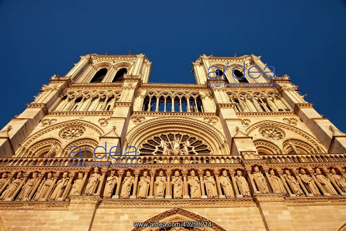 : Cathedral Notre Dame bathed in setting sunlight : Cathedral Notre Dame bathed in setting sunlight