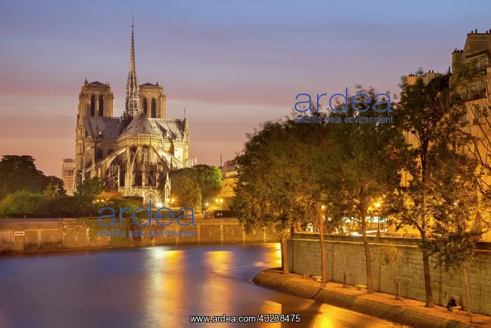 : Cathedral Notre Dame along River Seine : Cathedral Notre Dame along River Seine