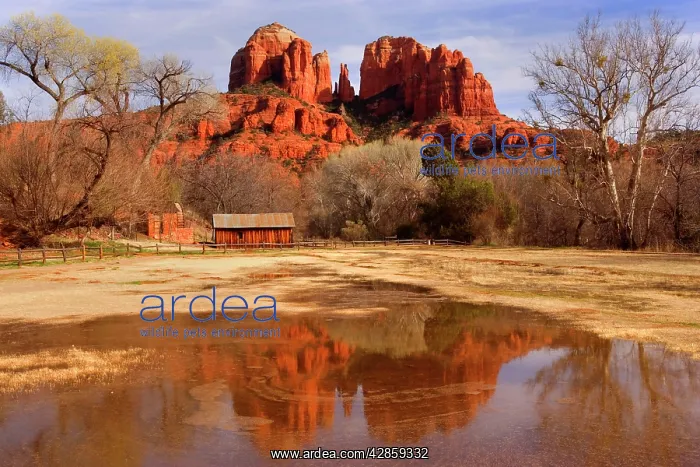 : Cathedral Rock - view of the west face of Cathedral : Cathedral Rock - view of the west face of Cathedral