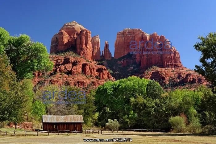 : Cathedral Rocks, Sedona, Arizona : Cathedral Rocks, Sedona, Arizona