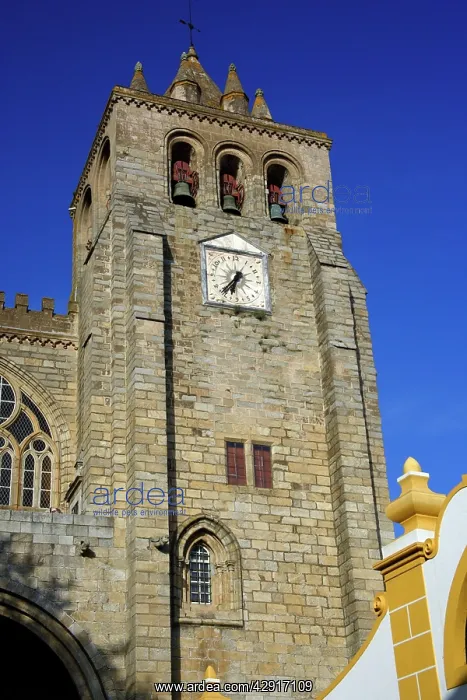 : Cathedral de santa Maria - in Evora, World Heritage city : Cathedral de santa Maria - in Evora, World Heritage city