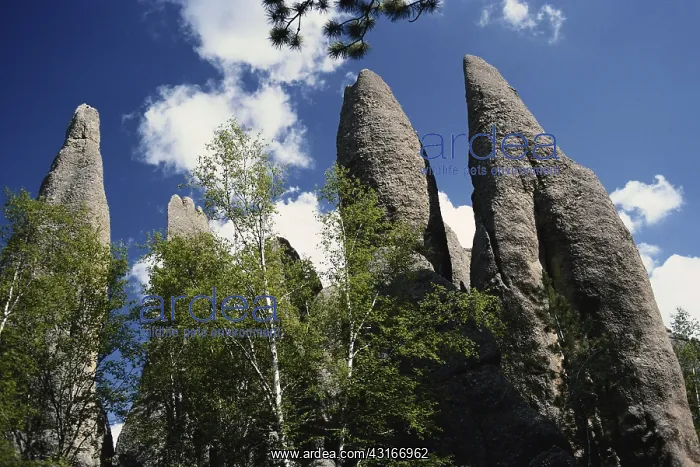 : Cathedral Spires, South Dakota : Cathedral Spires, South Dakota