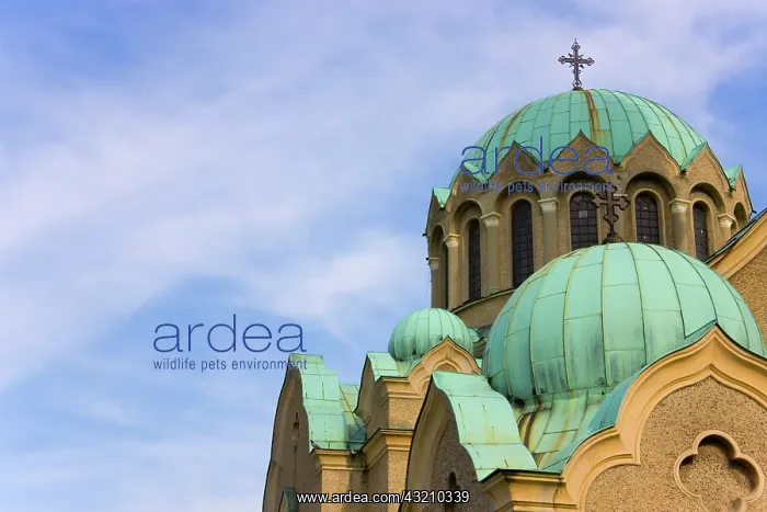 : Cathedral in Veliko Tarnovo, Bulgaria
