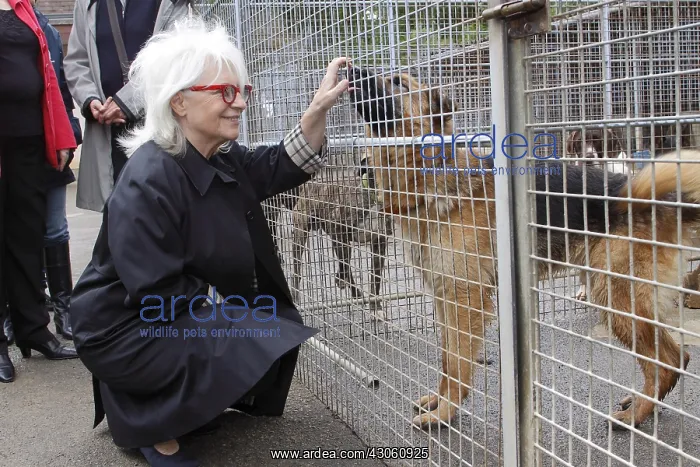 : Catherine Lara visiting the SPA refuge at Plaisir Yvelines : Catherine Lara visiting the SPA refuge at Plaisir Yvelines