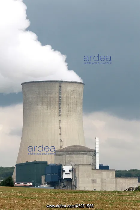 : The Cattenom Nuclear Power Plant located : The Cattenom Nuclear Power Plant located