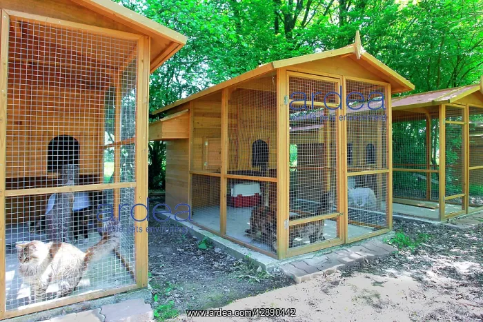  : Cattery - with Maine Coon cats