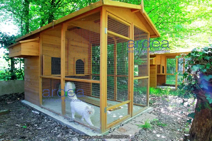  : Cattery - with Maine Coon cats