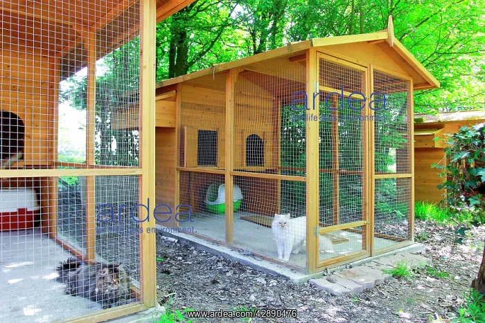  : Cattery - with Maine Coon cats