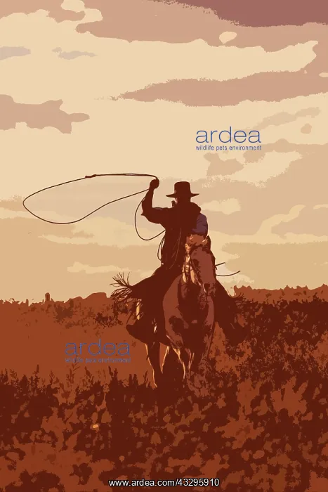 : Cattleman riding Quarter / Paint Horse - using lasso. Ponder : Cattleman riding Quarter / Paint Horse - using lasso. Ponder