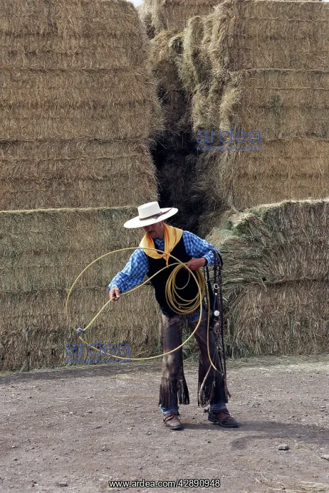 : Cattleman - using lasso : Cattleman - using lasso