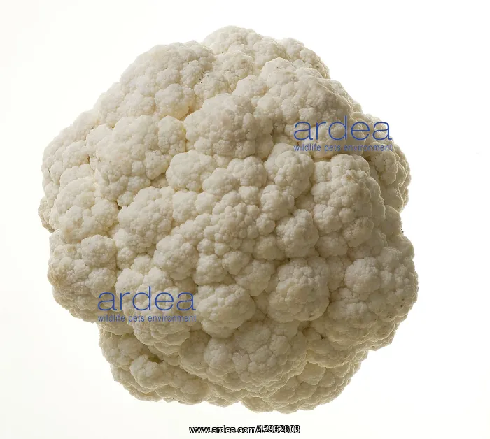  : Cauliflower