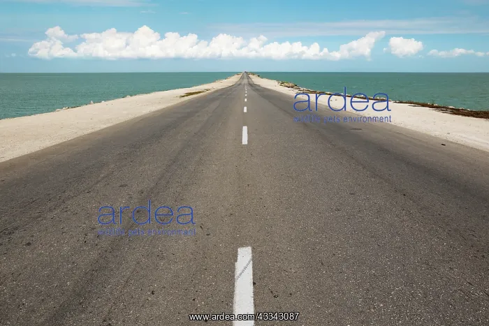 : Causeway to the Cayo Coco island, Jardines del Rey : Causeway to the Cayo Coco island, Jardines del Rey