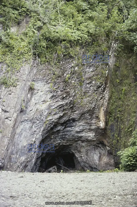 : Cave in American Samoa : Cave in American Samoa