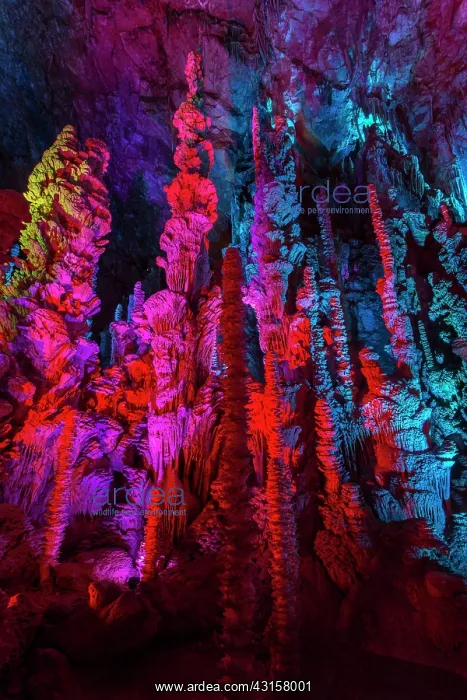 : Cave of the Aven Armand - Hures la parade - Lozere : Cave of the Aven Armand - Hures la parade - Lozere