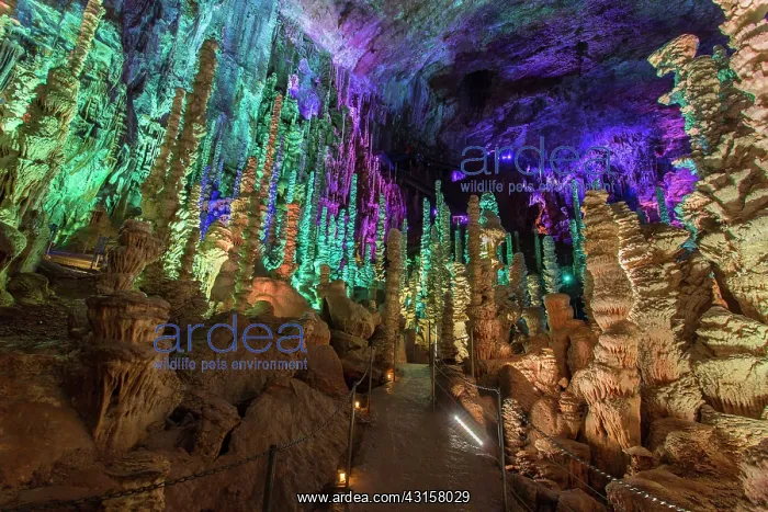: Cave of the Aven Armand - Hures la parade - Lozere : Cave of the Aven Armand - Hures la parade - Lozere