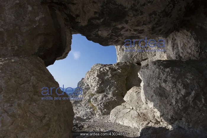 : Cave in the cliff Hoegklint near Visby - Gotland, Sweden : Cave in the cliff Hoegklint near Visby - Gotland, Sweden