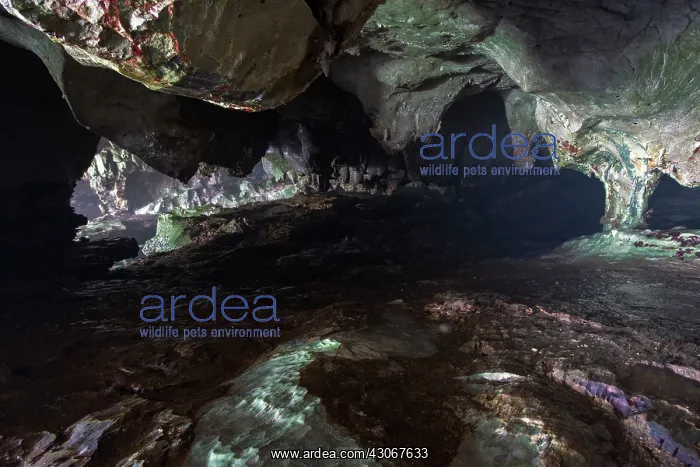: Cave, Cobijeru, Llanes, Asturias, Spain : Cave, Cobijeru, Llanes, Asturias, Spain
