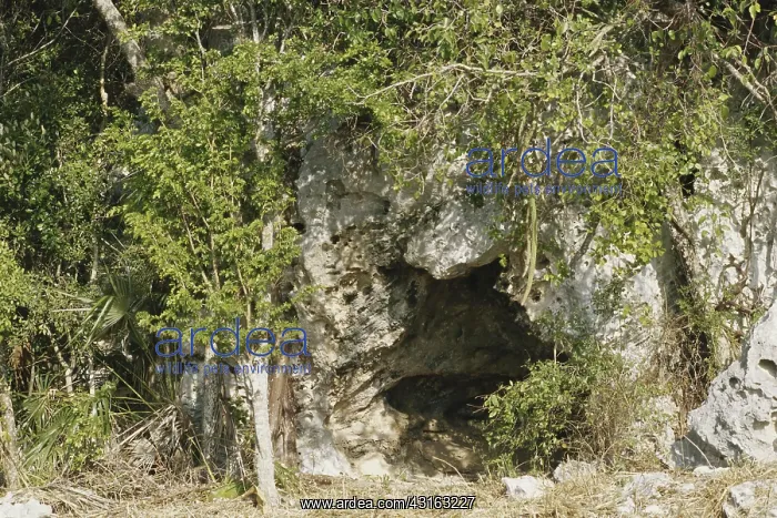: Cave in Cuba : Cave in Cuba