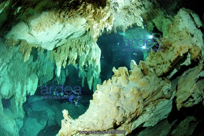 : Cave diving Maya Cenotes Yucatan Mexico : Cave diving Maya Cenotes Yucatan Mexico