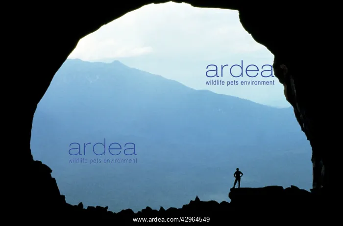 : Cave Entrance, Mount Autana (Cerro Autana) : Cave Entrance, Mount Autana (Cerro Autana)