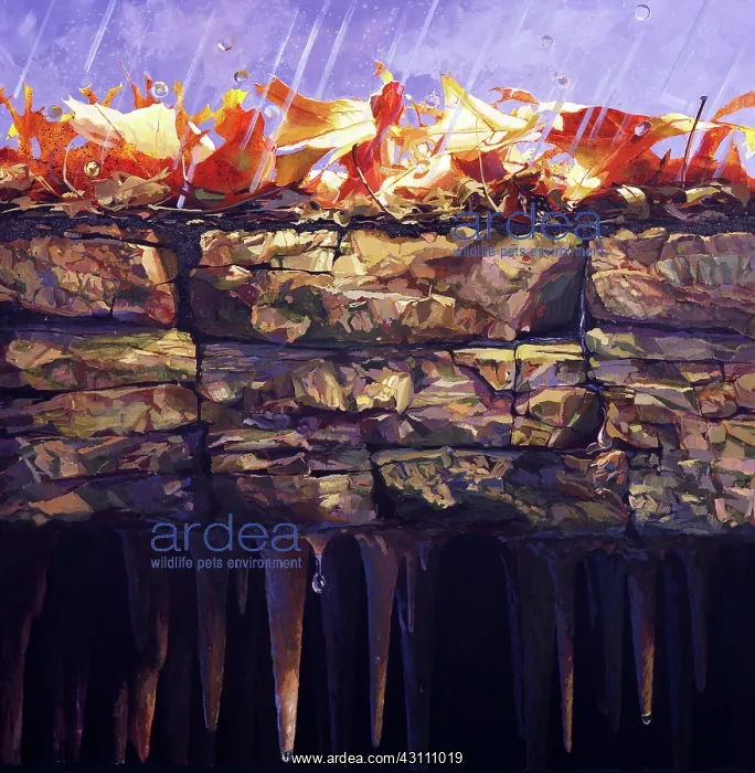 : Cave formation : Cave formation