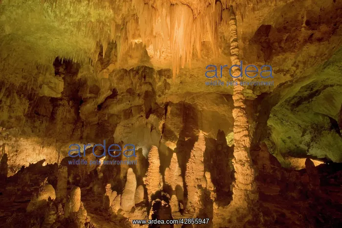  : Cave Formations - amazing cave formations including