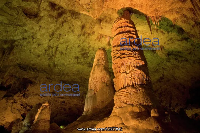 : Cave Formations - amazing cave formations including : Cave Formations - amazing cave formations including