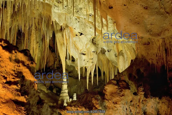  : Cave Formations - amazing cave formations including